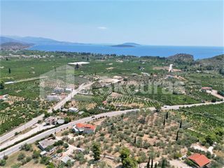 Αγροτεμάχια 4.732 τ.μ. για πώληση, Αργολίδα, Ασίνη-thumb-18