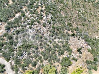Αγροτεμάχια 4.732 τ.μ. για πώληση, Αργολίδα, Ασίνη-thumb-17