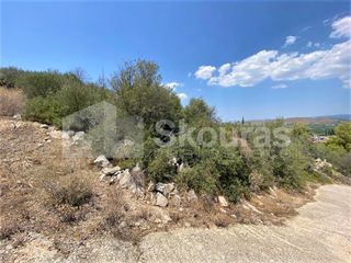 Αγροτεμάχια 4.732 τ.μ. για πώληση, Αργολίδα, Ασίνη-thumb-8