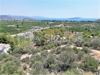 Αγροτεμάχια 4.732 τ.μ. για πώληση, Αργολίδα, Ασίνη-thumb-23