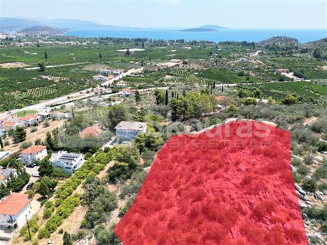 Αγροτεμάχια 4.732τ.μ. για πώληση-Ασίνη