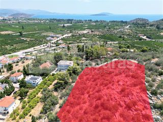 Αγροτεμάχια 4.732 τ.μ. για πώληση