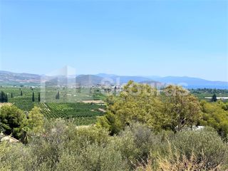 Αγροτεμάχια 4.732 τ.μ. για πώληση, Αργολίδα, Ασίνη-thumb-13