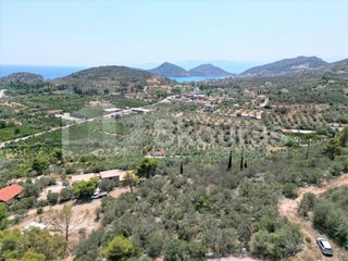 Αγροτεμάχια 4.732 τ.μ. για πώληση, Αργολίδα, Ασίνη-thumb-19
