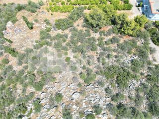Αγροτεμάχια 4.732 τ.μ. για πώληση, Αργολίδα, Ασίνη-thumb-16