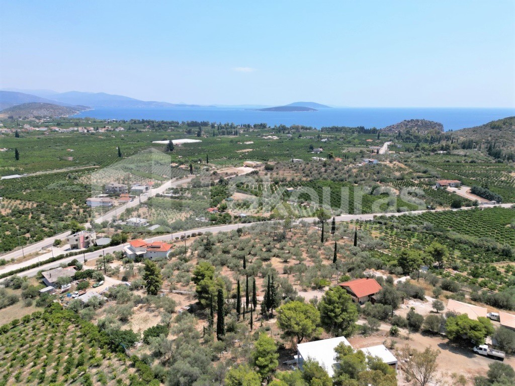 Αγροτεμάχια 4.732 τ.μ. προς πώληση, Κέντρο Ασίνης
