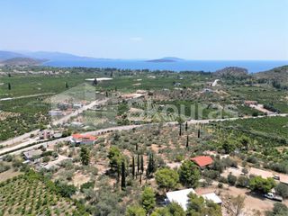 Αγροτεμάχια 4.732 τ.μ. για πώληση, Αργολίδα, Ασίνη-thumb-1