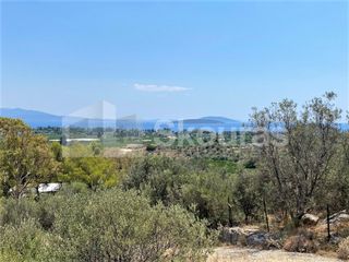 Αγροτεμάχια 4.732 τ.μ. για πώληση, Αργολίδα, Ασίνη-thumb-2