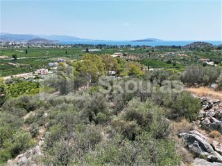 Αγροτεμάχια 4.732 τ.μ. για πώληση, Αργολίδα, Ασίνη-thumb-24
