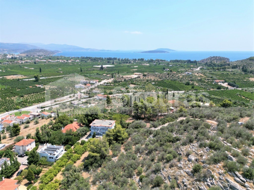 Αγροτεμάχια 4.732 τ.μ. προς πώληση, Κέντρο Ασίνης
