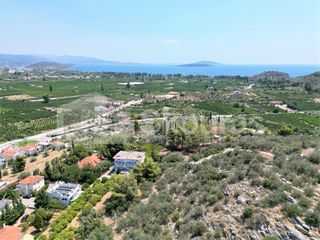 Αγροτεμάχια 4.732 τ.μ. για πώληση, Αργολίδα, Ασίνη-thumb-4