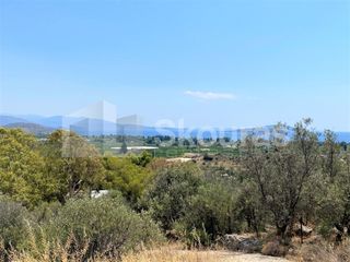 Αγροτεμάχια 4.732 τ.μ. για πώληση, Αργολίδα, Ασίνη-thumb-14
