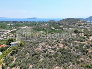 Αγροτεμάχια 4.732 τ.μ. για πώληση, Αργολίδα, Ασίνη-thumb-21