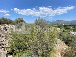Αγροτεμάχια 4.732 τ.μ. για πώληση, Αργολίδα, Ασίνη-thumb-5