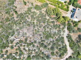 Αγροτεμάχια 4.732 τ.μ. για πώληση, Αργολίδα, Ασίνη-thumb-22