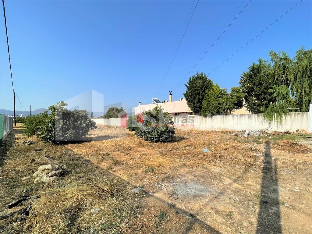 Οικόπεδο 884 τ.μ. προς πώληση, Δαλαμανάρα