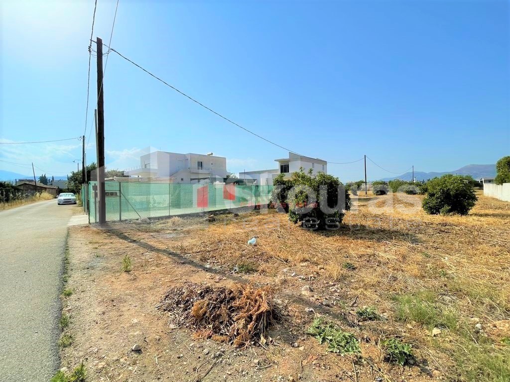 Οικόπεδο 884 τ.μ. προς πώληση, Δαλαμανάρα