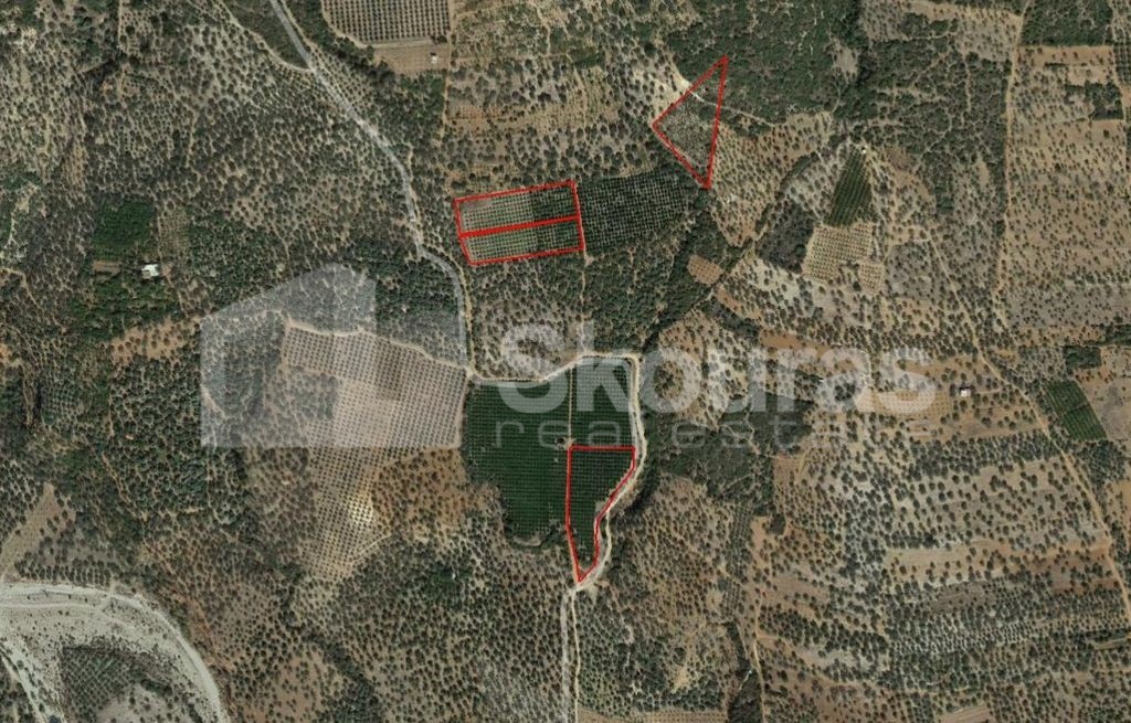 Αγροτεμάχια 25.000 τ.μ. προς πώληση, Άστρος