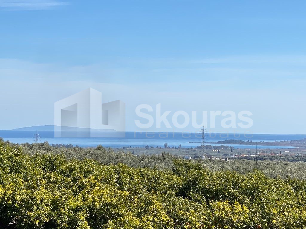 Αγροτεμάχια 25.000 τ.μ. προς πώληση, Άστρος