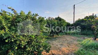 Αγροτεμάχια 11.800 τ.μ. για πώληση, Αργολίδα, Μιδέα-thumb-4