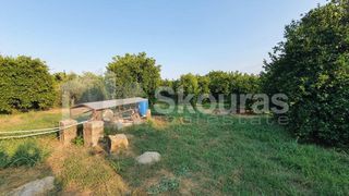 Αγροτεμάχια 11.800 τ.μ. για πώληση, Αργολίδα, Μιδέα-thumb-3