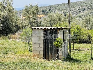 Αγροτεμάχια 5.500 τ.μ. για πώληση, Αργολίδα, Ασίνη-thumb-15