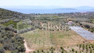 Αγροτεμάχια 5.500 τ.μ. για πώληση, Αργολίδα, Ασίνη-thumb-7