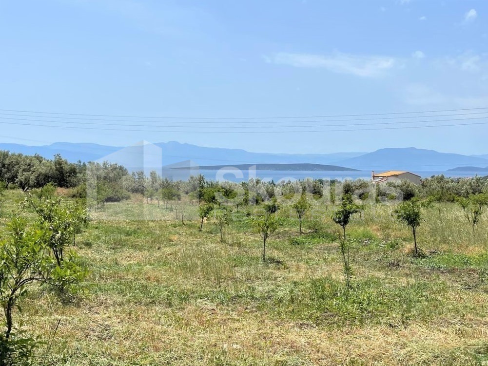 Αγροτεμάχια 5.500 τ.μ. προς πώληση, Κάντια