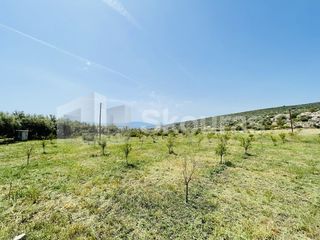 Αγροτεμάχια 5.500 τ.μ. για πώληση, Αργολίδα, Ασίνη-thumb-23