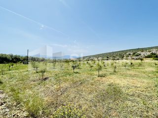 Αγροτεμάχια 5.500 τ.μ. για πώληση, Αργολίδα, Ασίνη-thumb-4