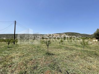 Αγροτεμάχια 5.500 τ.μ. για πώληση, Αργολίδα, Ασίνη-thumb-10