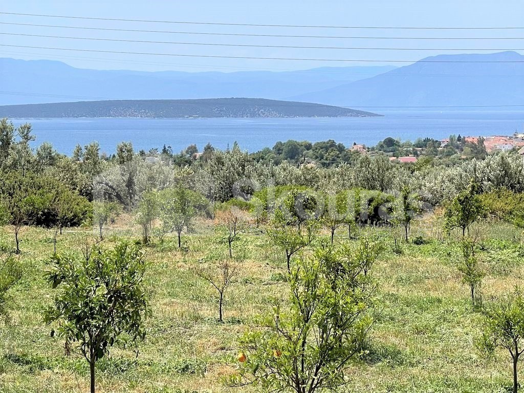 Αγροτεμάχια 5.500 τ.μ. προς πώληση, Κάντια