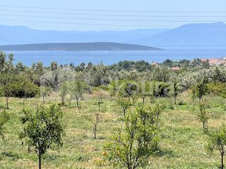 Αγροτεμάχια 5.500 τ.μ. για πώληση, Αργολίδα, Ασίνη-thumb-2