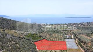 Αγροτεμάχια 5.500 τ.μ. για πώληση, Αργολίδα, Ασίνη-thumb-8