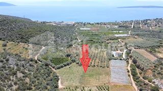 Αγροτεμάχια 5.500 τ.μ. για πώληση, Αργολίδα, Ασίνη-thumb-13