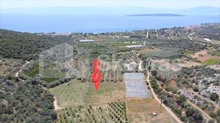 Αγροτεμάχια 5.500 τ.μ. για πώληση, Αργολίδα, Ασίνη-thumb-1