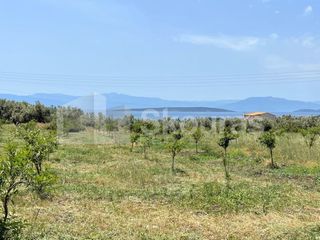 Αγροτεμάχια 5.500 τ.μ. για πώληση, Αργολίδα, Ασίνη-thumb-16