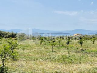 Αγροτεμάχια 5.500 τ.μ. για πώληση, Αργολίδα, Ασίνη-thumb-5
