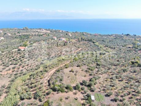 Οικόπεδο 6.169,69 τ.μ. για πώληση