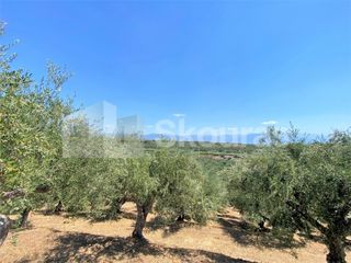 Οικόπεδο 7.020 τ.μ. για πώληση, Μεσσηνία, Μεσσήνη-thumb-10