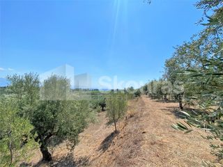 Οικόπεδο 7.020 τ.μ. για πώληση