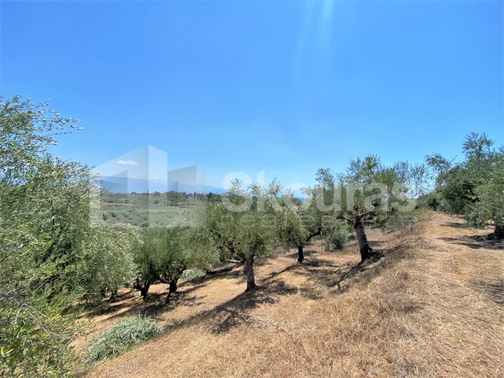 Οικόπεδο 7.020 τ.μ. προς πώληση, Βελίκα Μεσσήνης