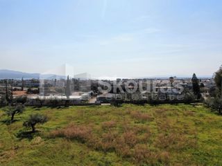 Οικόπεδο 8.039 τ.μ. για πώληση, Μεσσηνία, Καλαμάτα-thumb-16