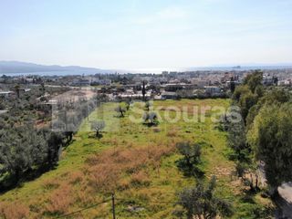 Οικόπεδο 8.039 τ.μ. για πώληση, Μεσσηνία, Καλαμάτα-thumb-9