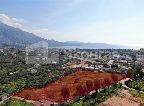 Οικόπεδο 8.039 τ.μ. για πώληση