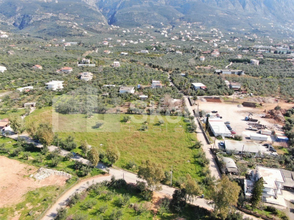 Οικόπεδο 8.039 τ.μ. προς πώληση, Φαρές Καλαμάτας