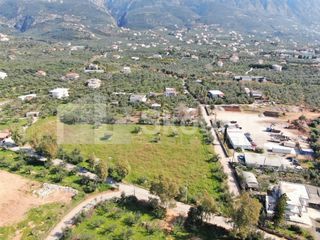 Οικόπεδο 8.039 τ.μ. για πώληση, Μεσσηνία, Καλαμάτα-thumb-3