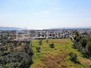 Οικόπεδο 8.039 τ.μ. για πώληση, Μεσσηνία, Καλαμάτα-thumb-12