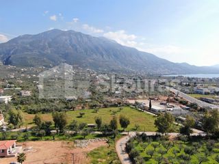 Οικόπεδο 8.039 τ.μ. για πώληση, Μεσσηνία, Καλαμάτα-thumb-24