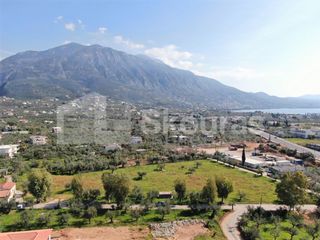 Οικόπεδο 8.039 τ.μ. για πώληση, Μεσσηνία, Καλαμάτα-thumb-5